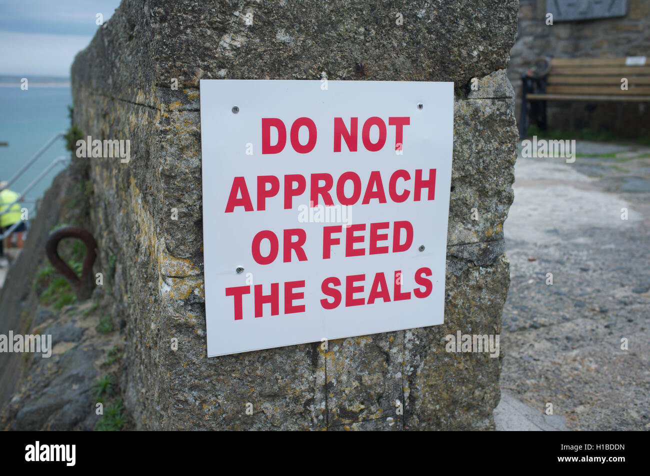 Warning sign: do not approach or feed the seals in St Ives harbour Stock Photo