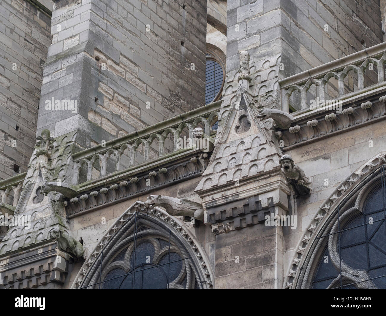 Notre Dame de Paris Cathedral, France Stock Photo - Alamy
