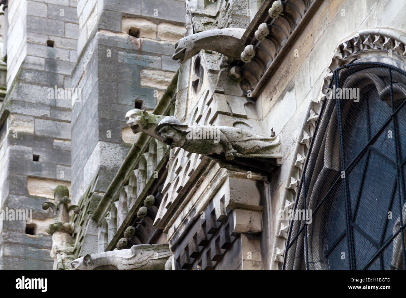 EN IMAGES - Notre-Dame De Paris : Découvrez Les Premiers Clichés De La Cathedrale Reconstruite 20241129