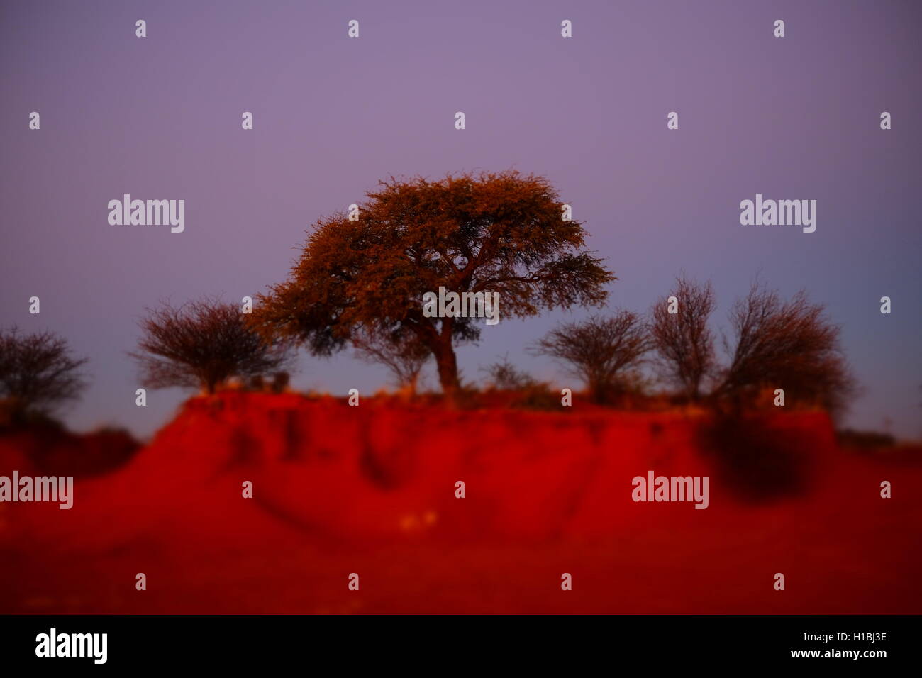 Upington, south africa hires stock photography and images Alamy