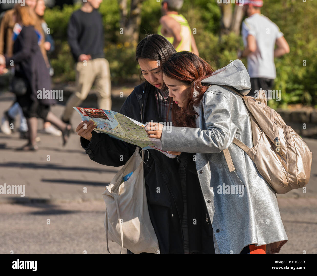Female tourists looking at map, Reykjavik, Iceland Stock Photo