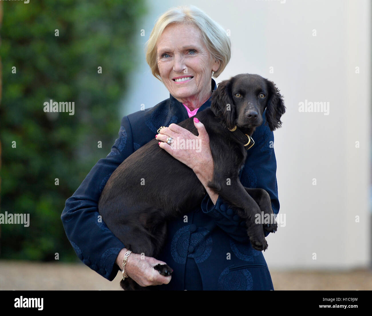 Mary Berry stands with her dog Darcey outside her home in Buckinghamshire, after she announced that she will not join The Great British Bake Off on Channel 4, saying 'My decision to stay with the BBC is out of loyalty to them.' Stock Photo
