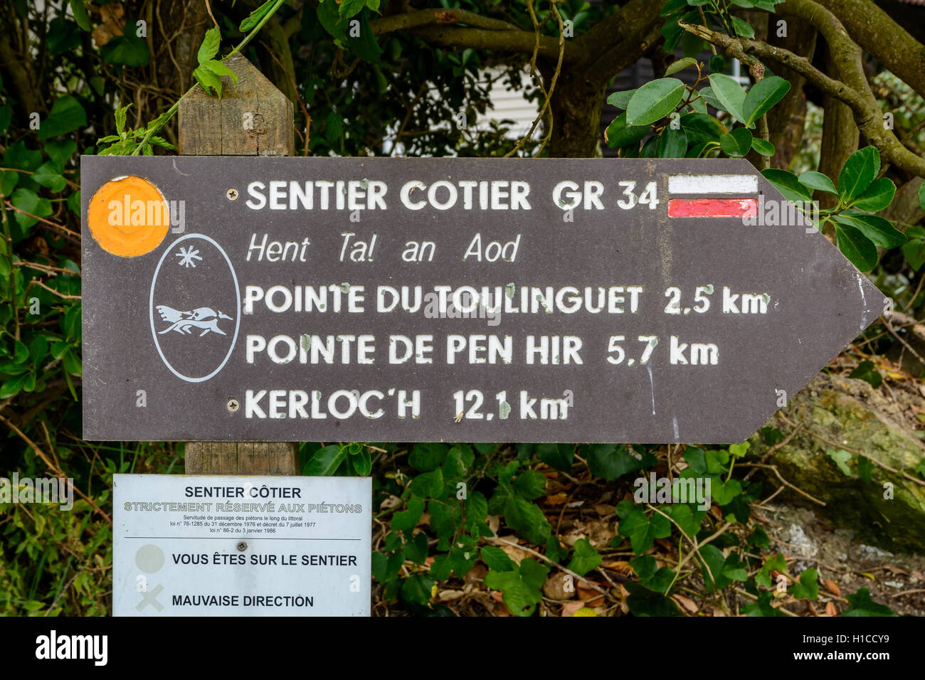 GR34 Sentier cotier trail along the coast in Britanny, France Stock Photo