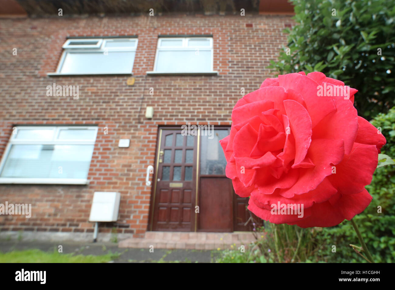 Roses still grow in the front garden of the family Home of Best