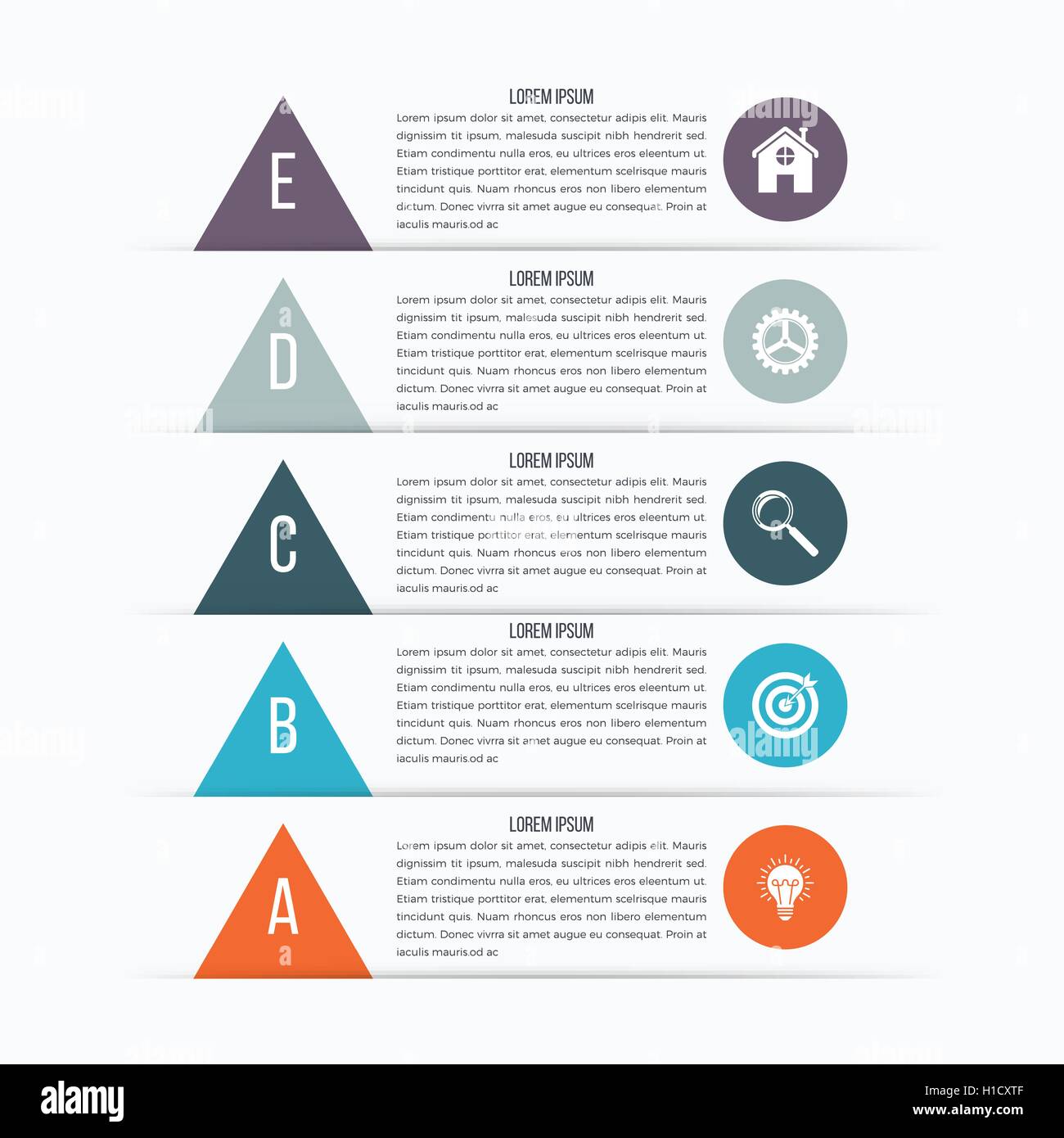 Vector arrows infographic. Template for diagram Stock Vector Image ...