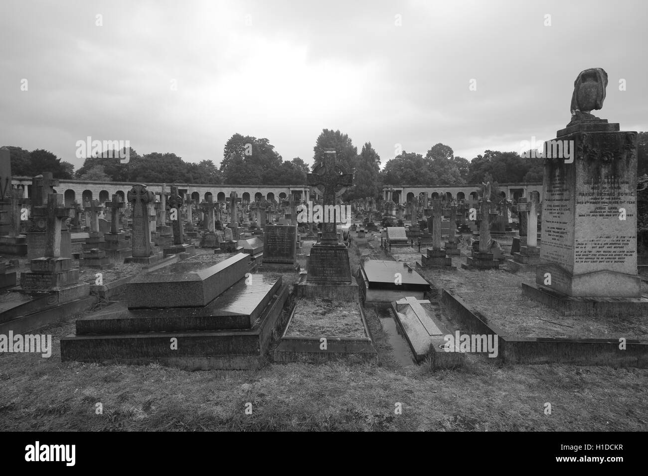 Cemetery brompton Black and White Stock Photos & Images Alamy