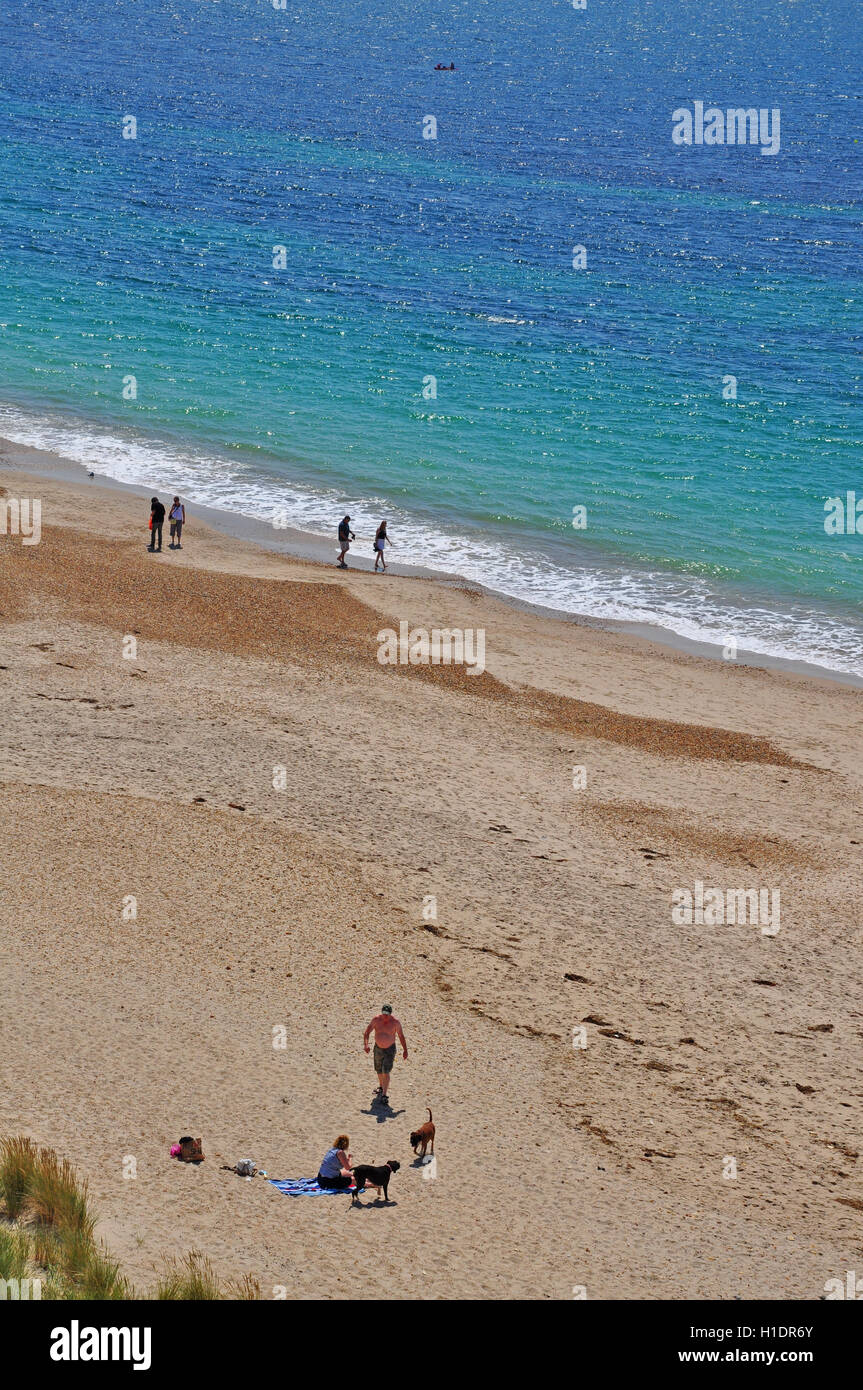 couple on beach with dogs at Hengistbury head in Dorset Stock Photo Alamy