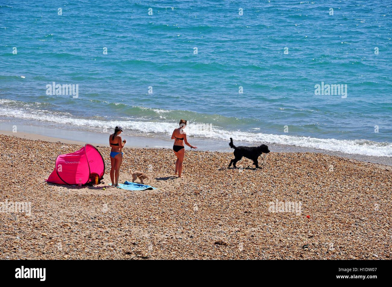 Sunbathing in bikinis hires stock photography and images Alamy
