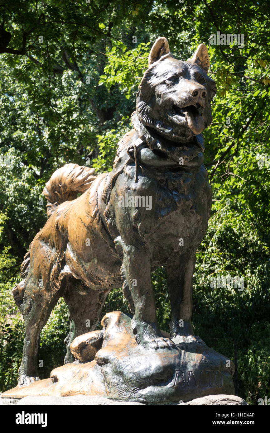 sled dog with statue in central park