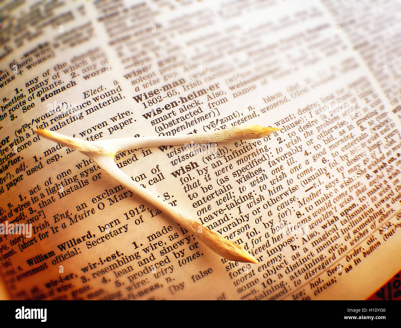 wishbone-and-wish-dictionary-definition-stock-photo-alamy