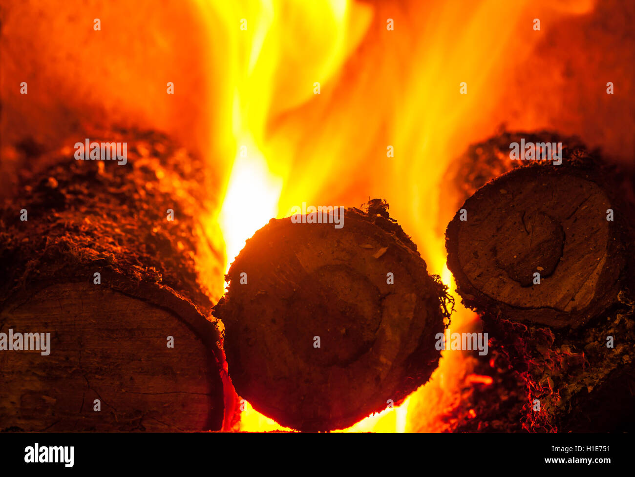 Wood fire burning Stock Photo Alamy