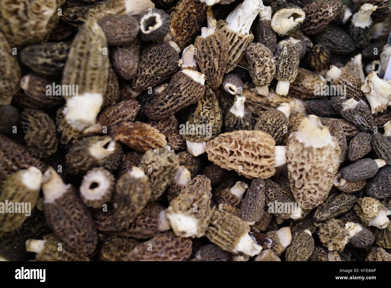 Morel mushrooms at a local farmers market in Summit, New Jersey, USA  Foraged in forests Stock Photo