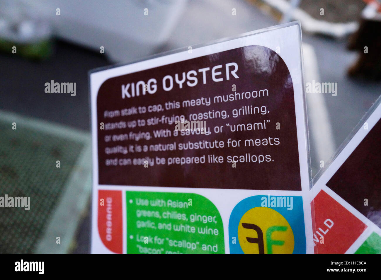 Mushroom sign at Farmers Market.  Local New Jersey mushrooms ID cards explains what the taste of each type of mushroom. Stock Photo