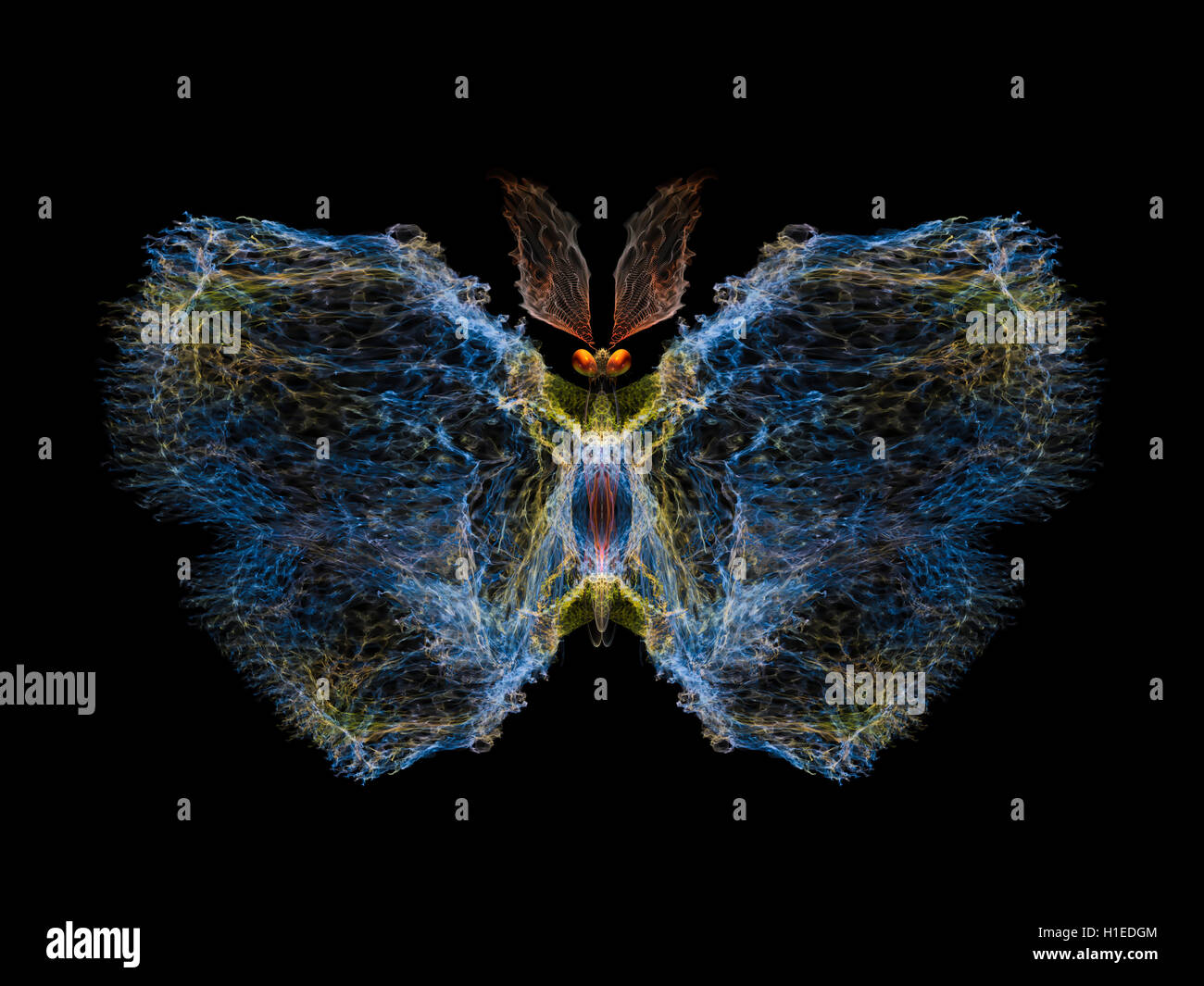 Flatter symmetry hi-res stock photography and images - Alamy