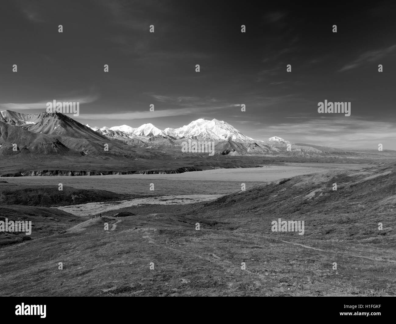 View of Denali, the Great One, from the Eielson Visitor Center, Denali National Park, Alaska. Stock Photo