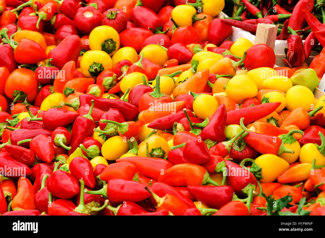 Harvest yellow peppers lot hi-res stock photography and images - Alamy