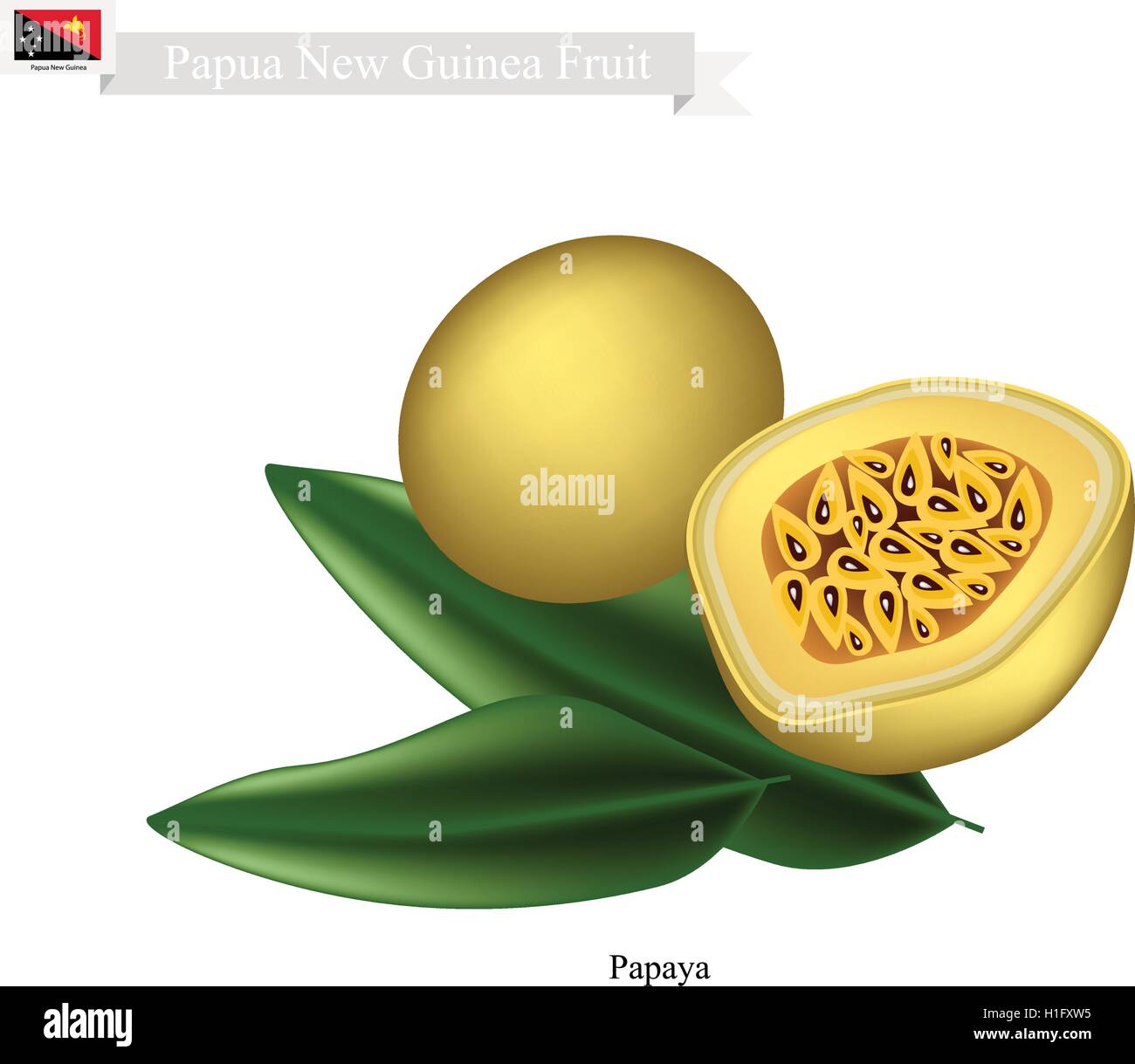 Papua New Guinea Fruit, Illustration of Maracuja or Passion Fruit. One