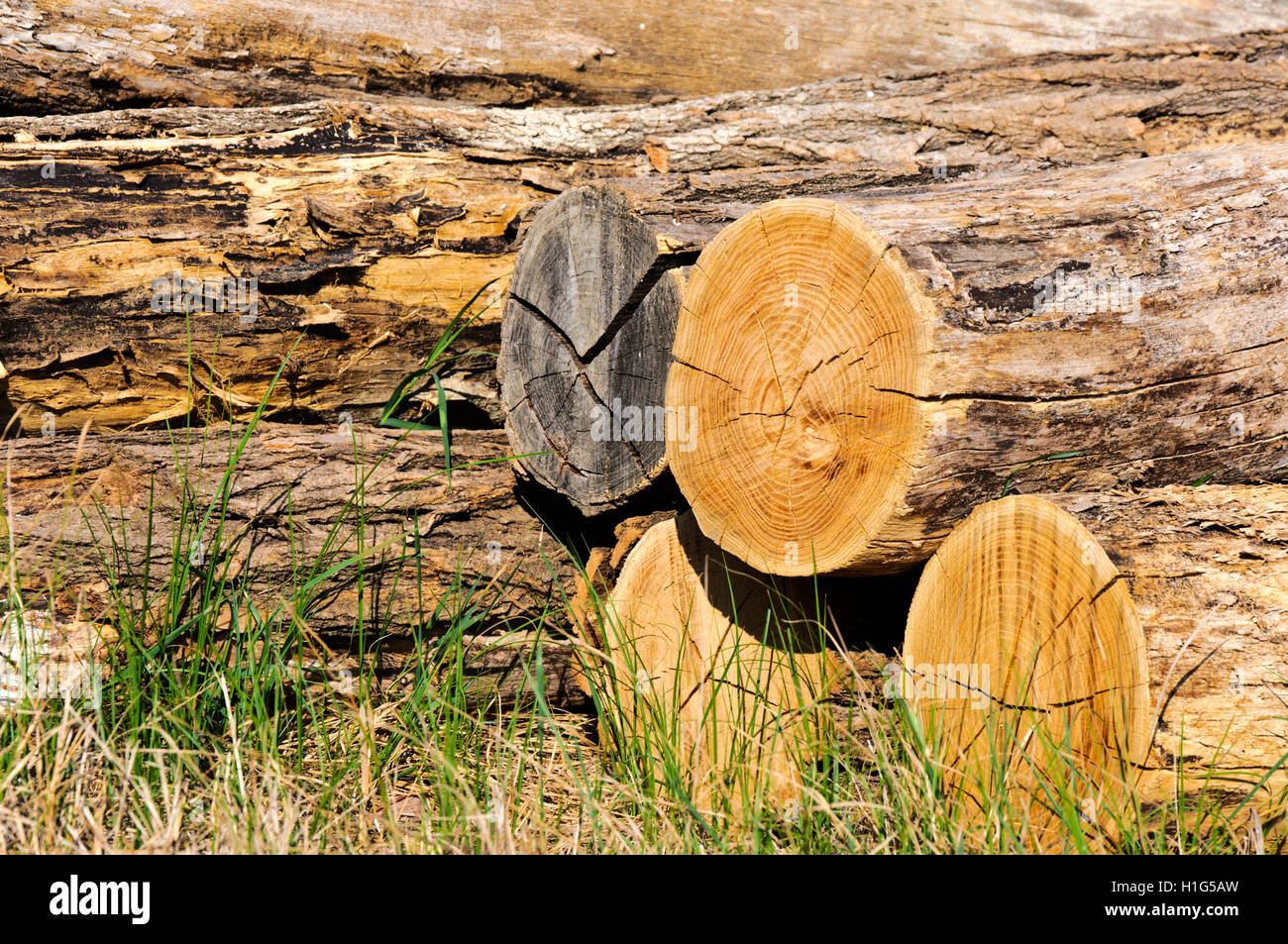 Cut and color hi-res stock photography and images - Alamy