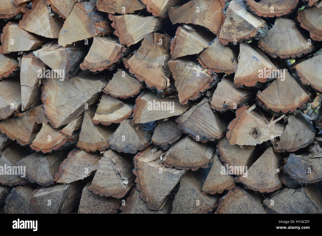 Stacked oak firewood in Pasadena, Anne Arundel County, Maryland Stock