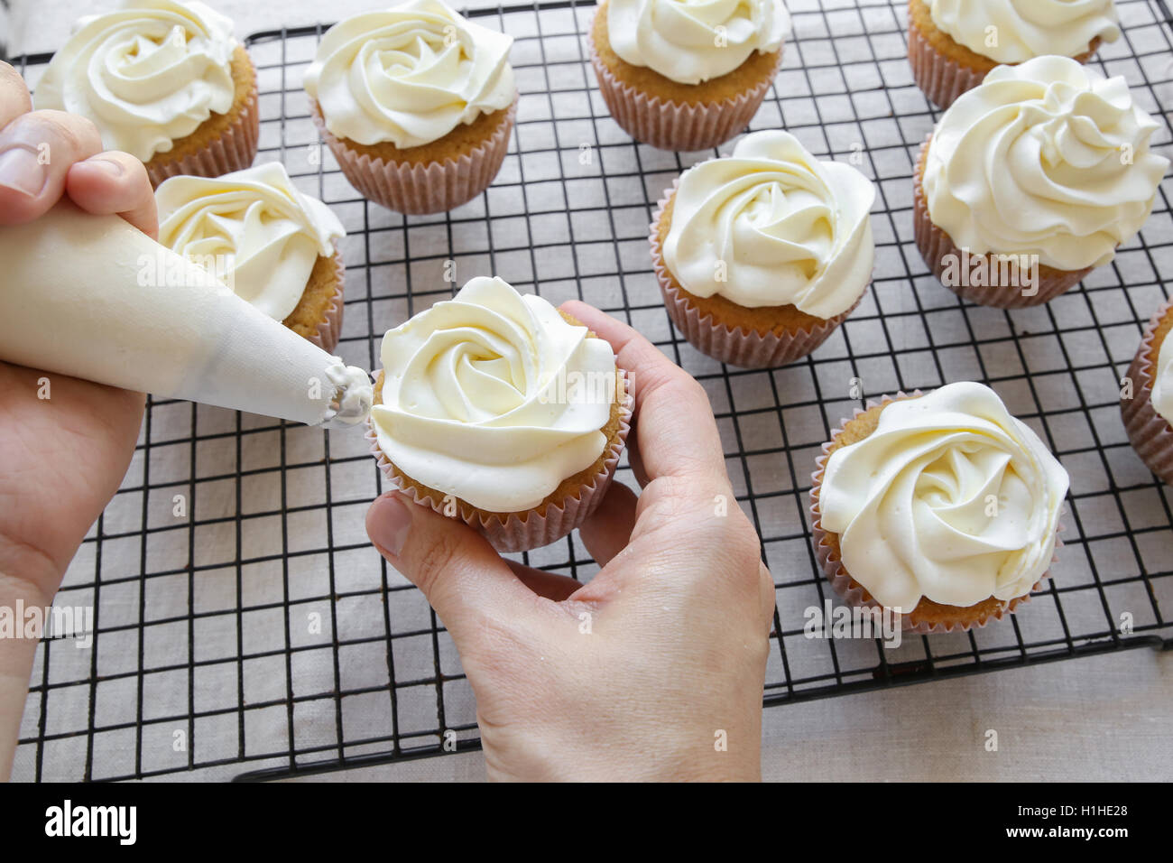 Piping rose flower frosting on vanilla cupcakes Stock Photo Alamy