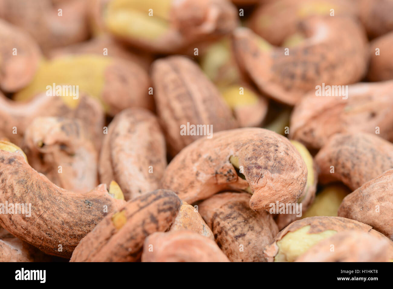 cashews with shell Stock Photo Alamy