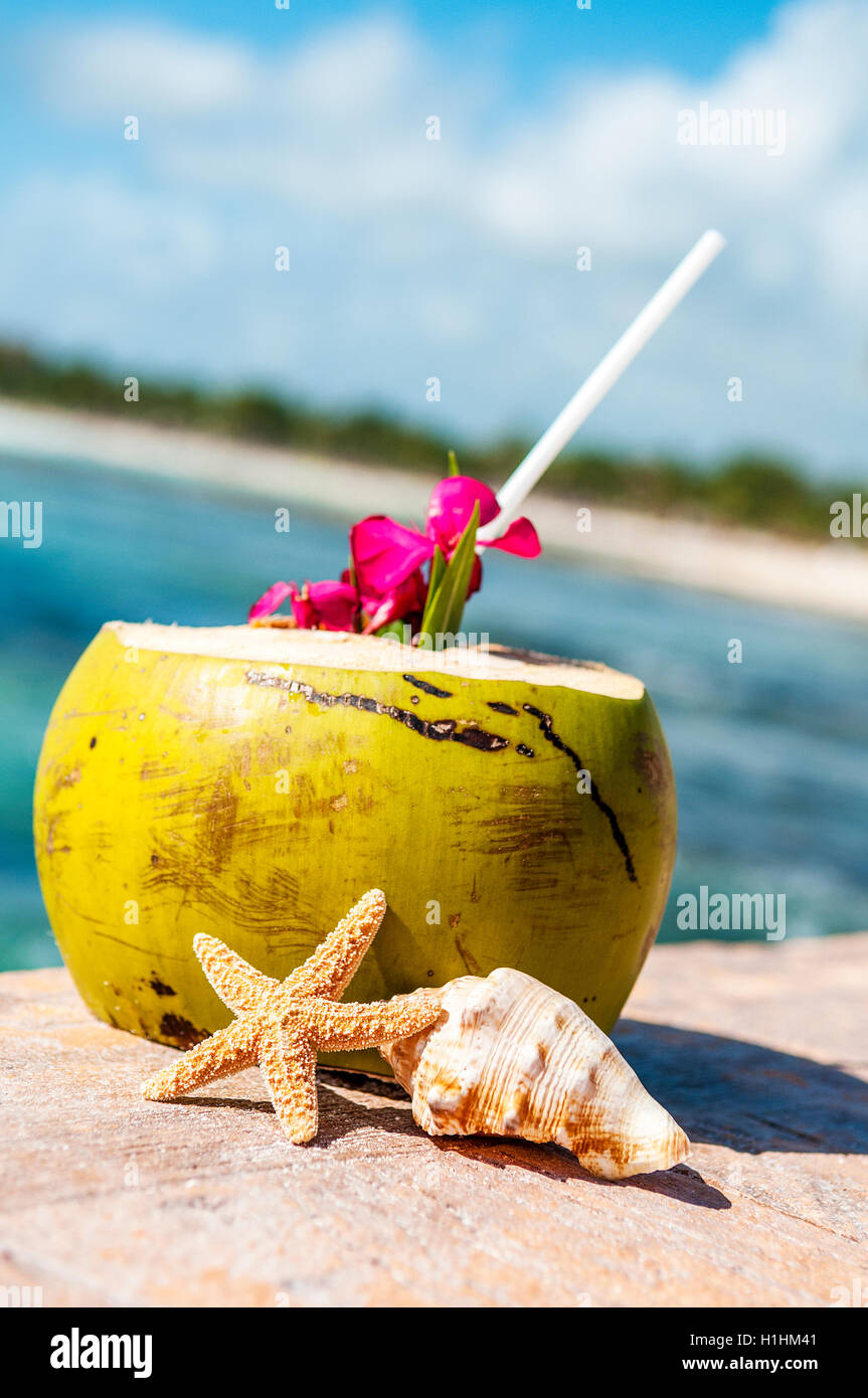 coconuts on the beach Stock Photo Alamy