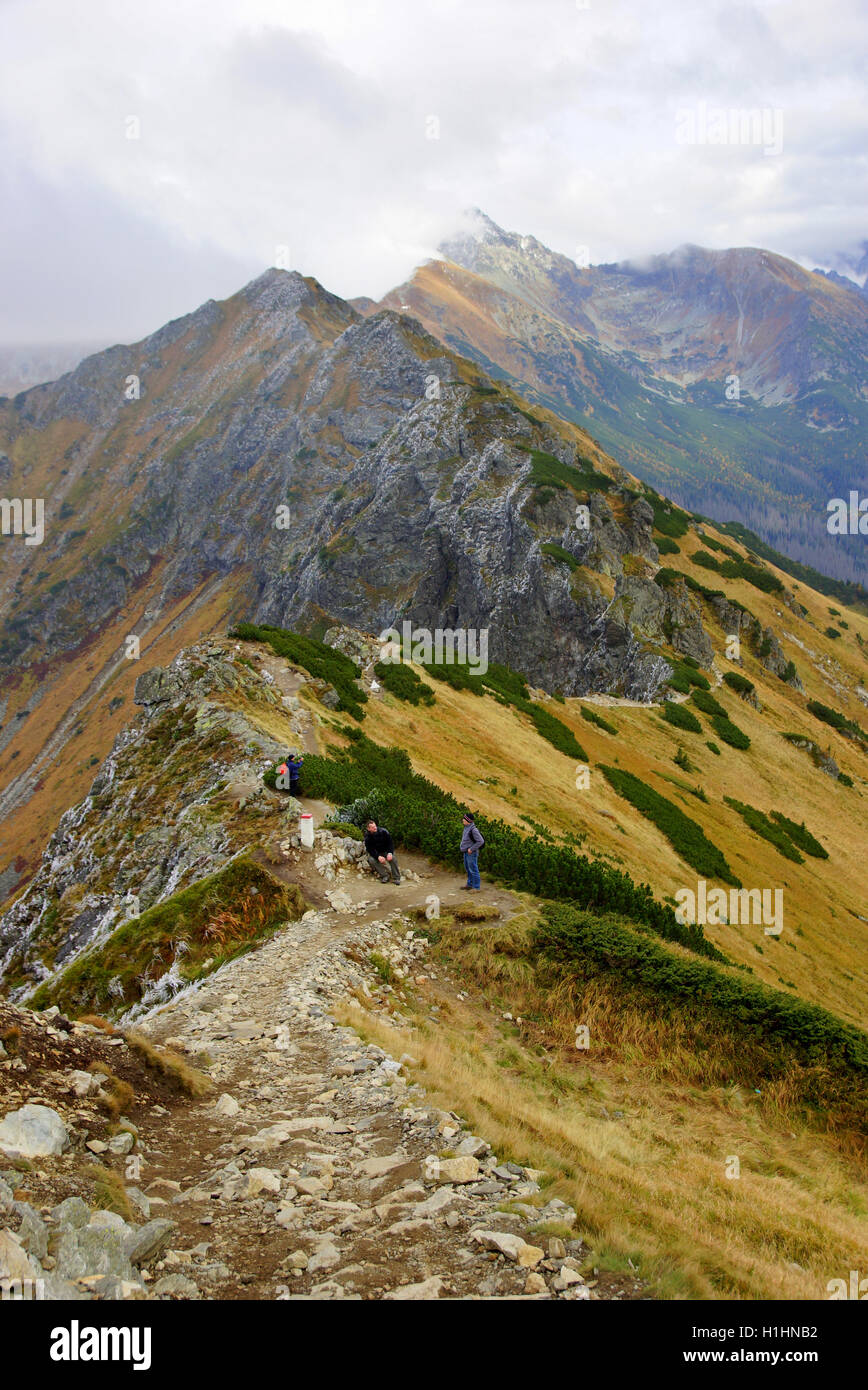 Landscape of Tatras mountain in Poland Stock Photo Alamy