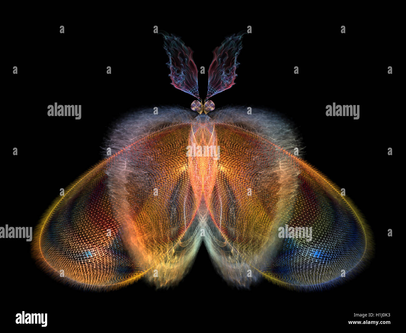 Conceptual Butterfly Stock Photo