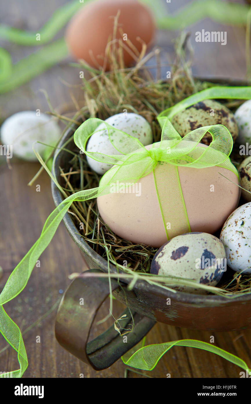 Various raw eggs Stock Photo Alamy
