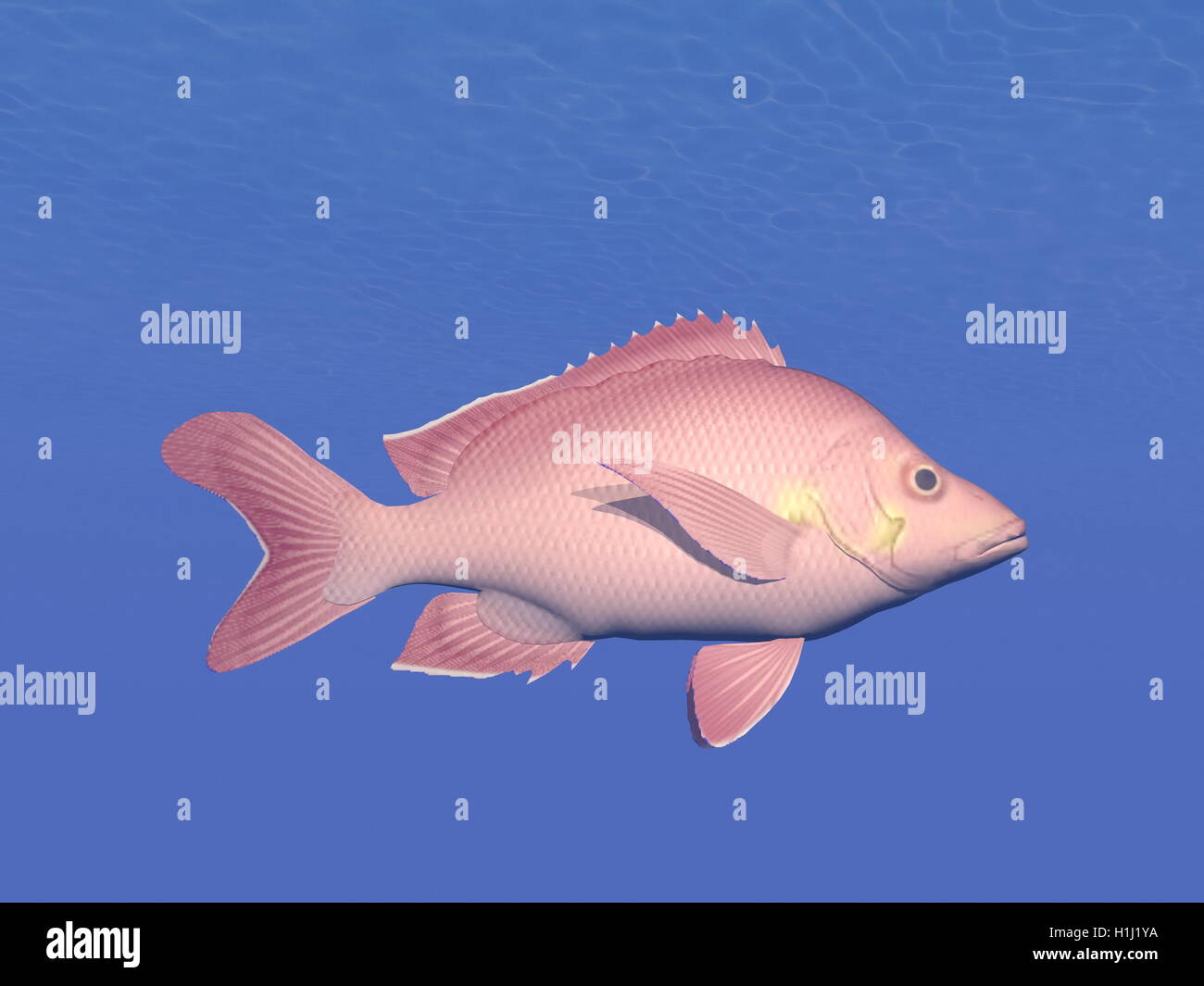 Red fish underwater - 3D render Stock Photo