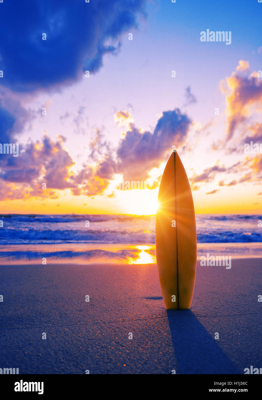 Surfboard on the beach at sunset Stock Photo Alamy