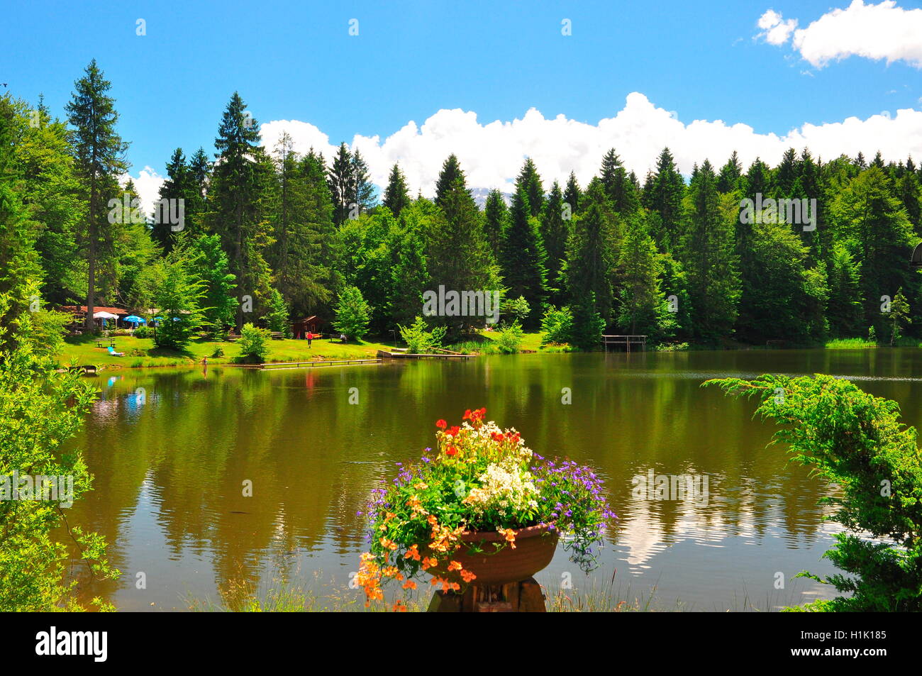 Bergsee, Bergwald, Fruehling, Loisachtal, Bayern Stock Photo