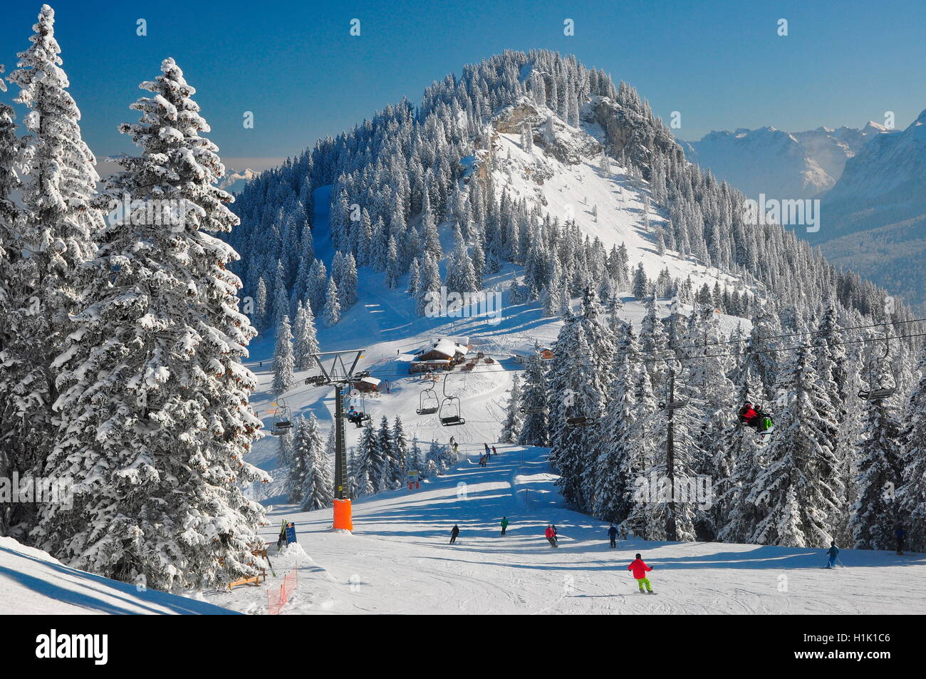 Bergwald, Skigebiet, Skipiste, Kreuzeck, Bayern, Werdenfels, Garmisch-Partenkirchen, Deutschland Stock Photo