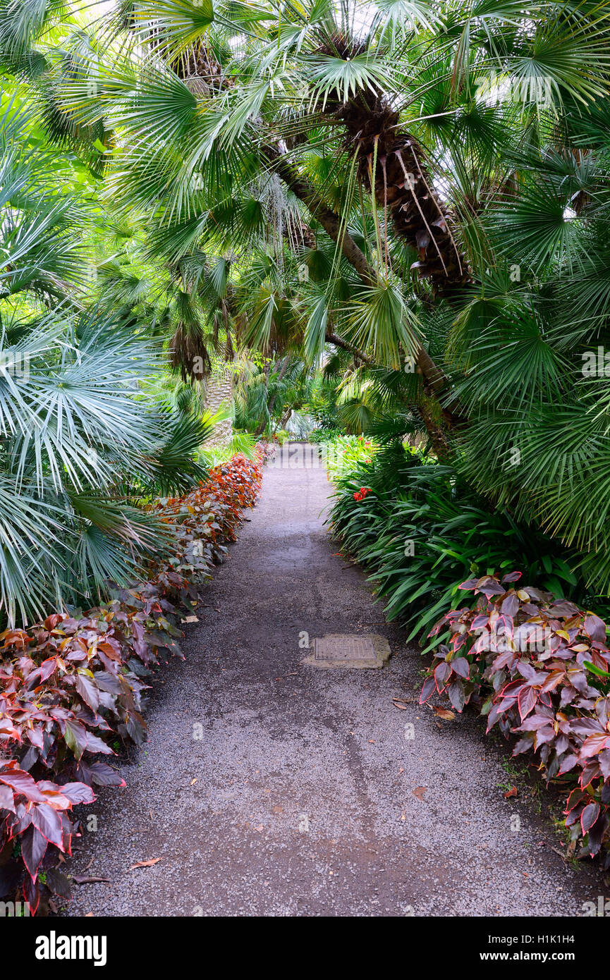 Botanischer Garten Teneriffa Kanarische Inseln Spanien Stock