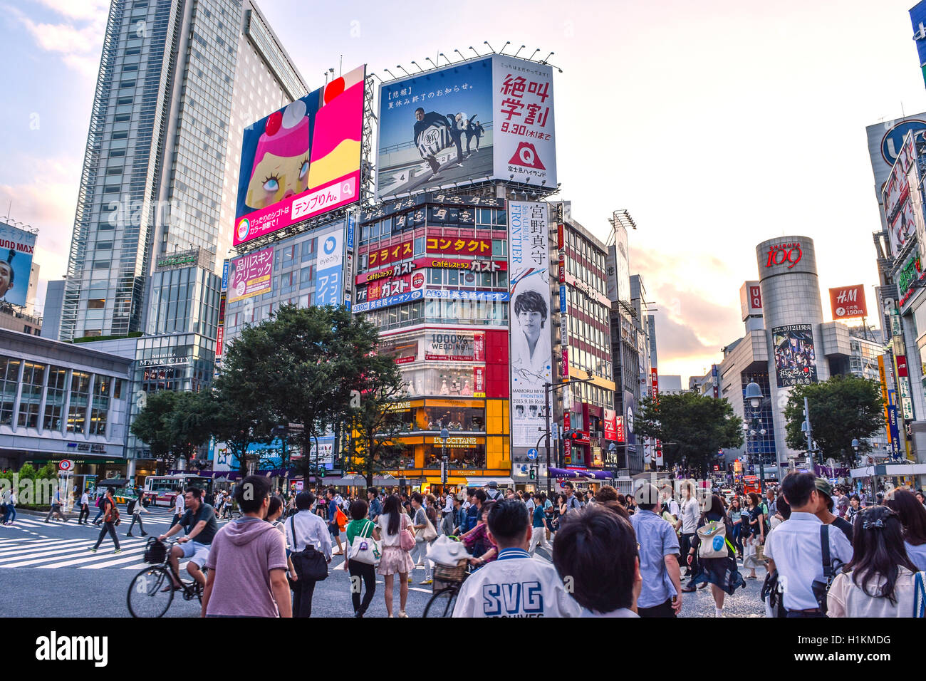 Shibuya Crossing at sunset, Shibuya, Tokyo, Japan Stock Photo