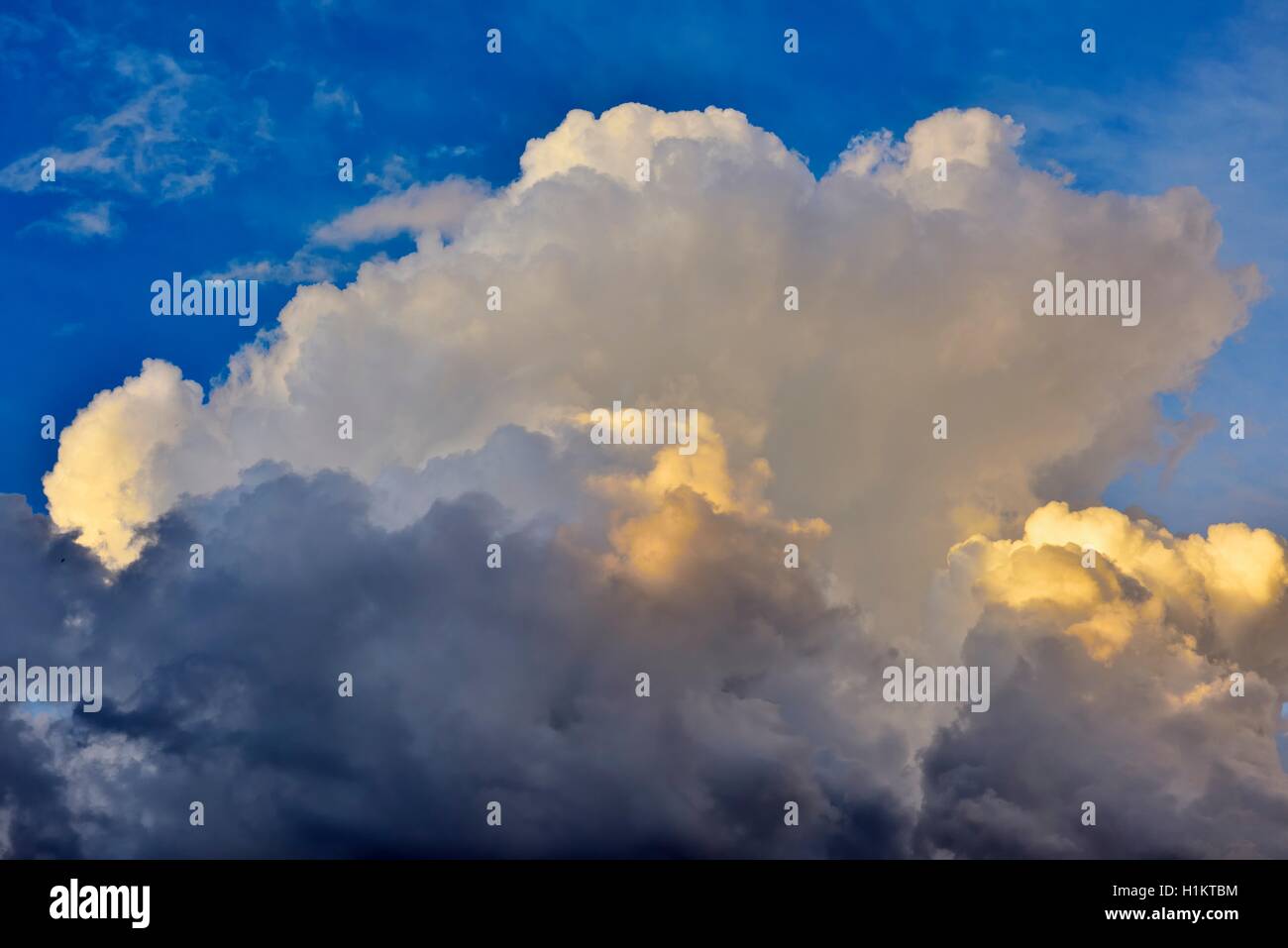 Storm clouds, towering vertical clouds, cumulonimbus, evening light, Bavaria, Germany Stock Photo