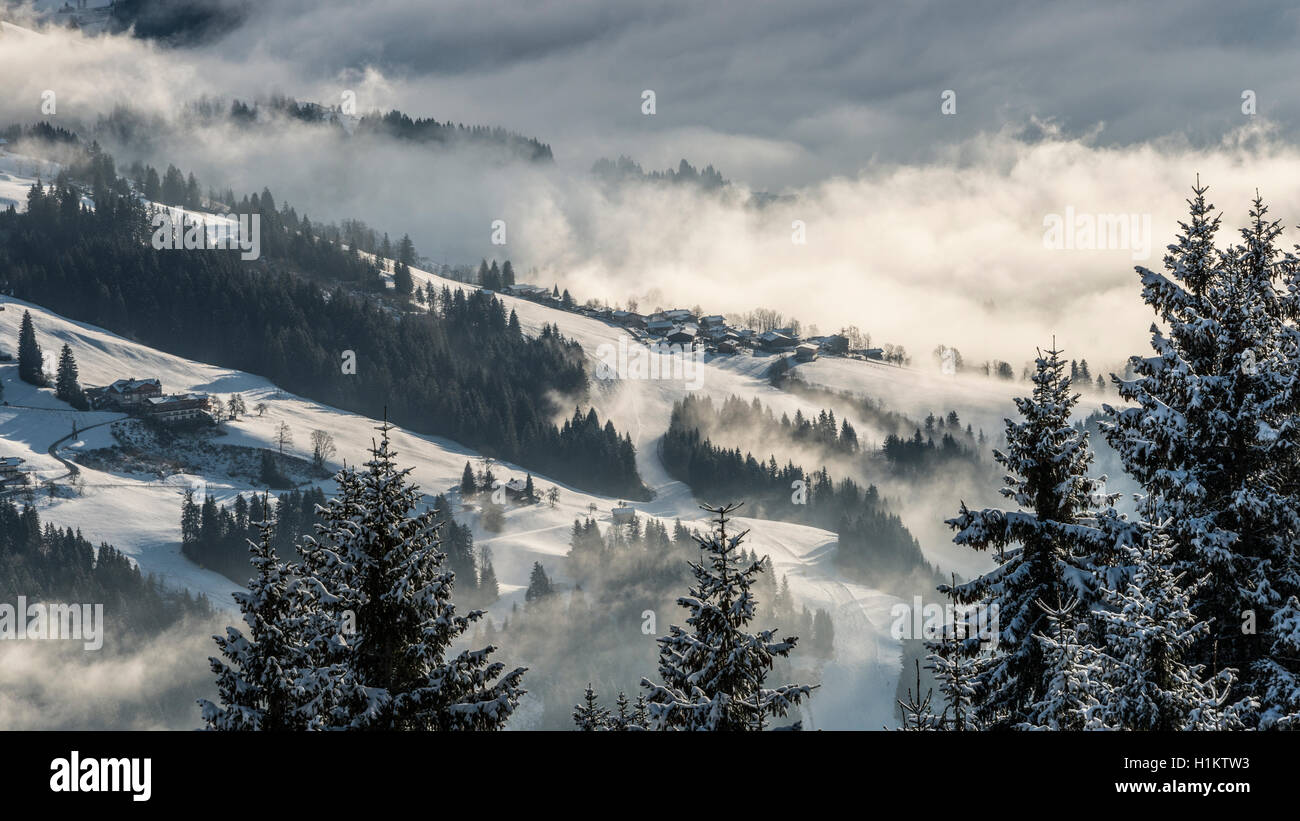 Winter landscape in Brixental, conifers, snow and fog, Brixen im Thale ...