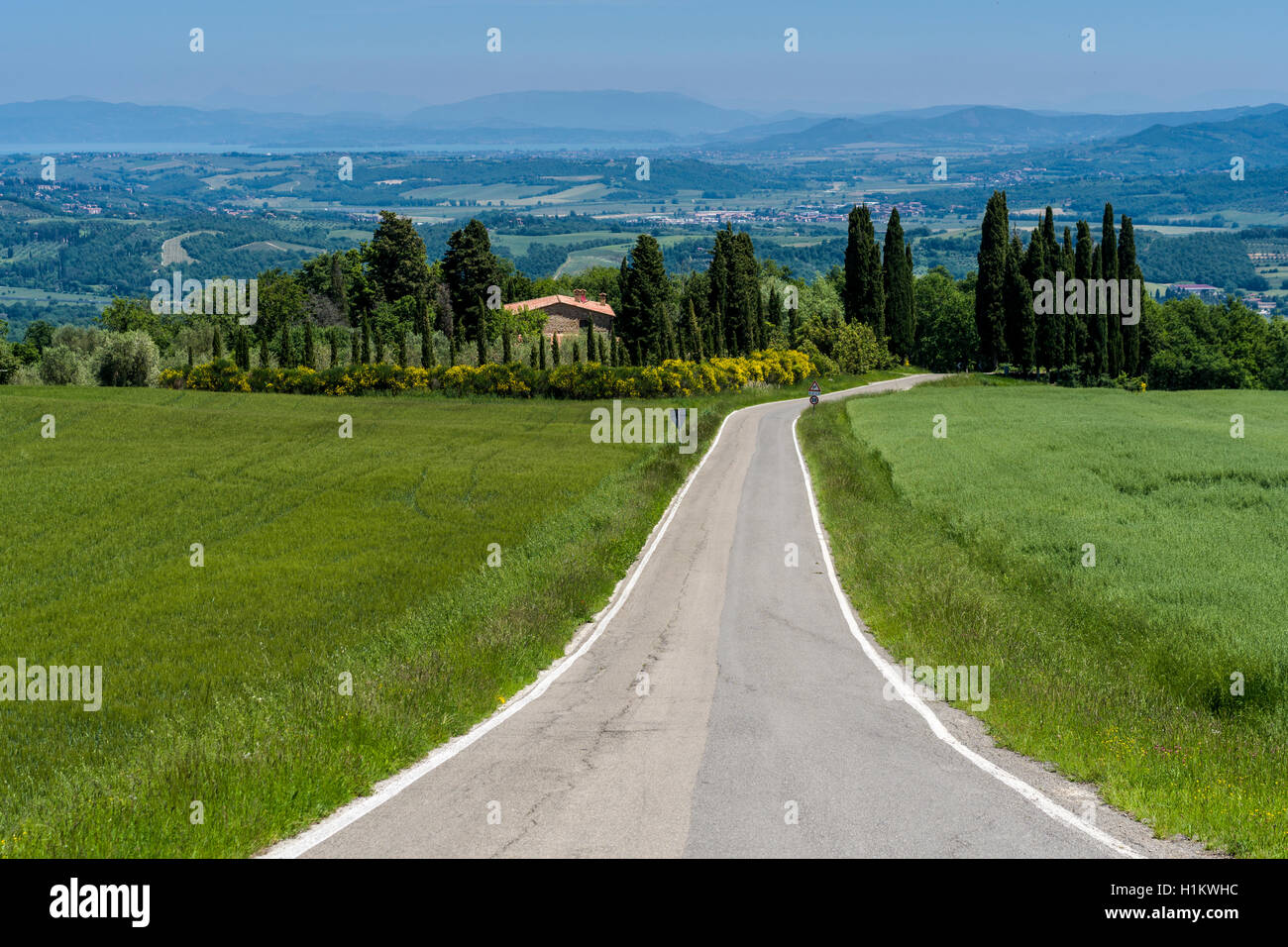 Typical green Tuscany landscape with hills, trees, a road leading to a farm and blue sky, San Casciano dei Bagni, Tuscany, Italy Stock Photo