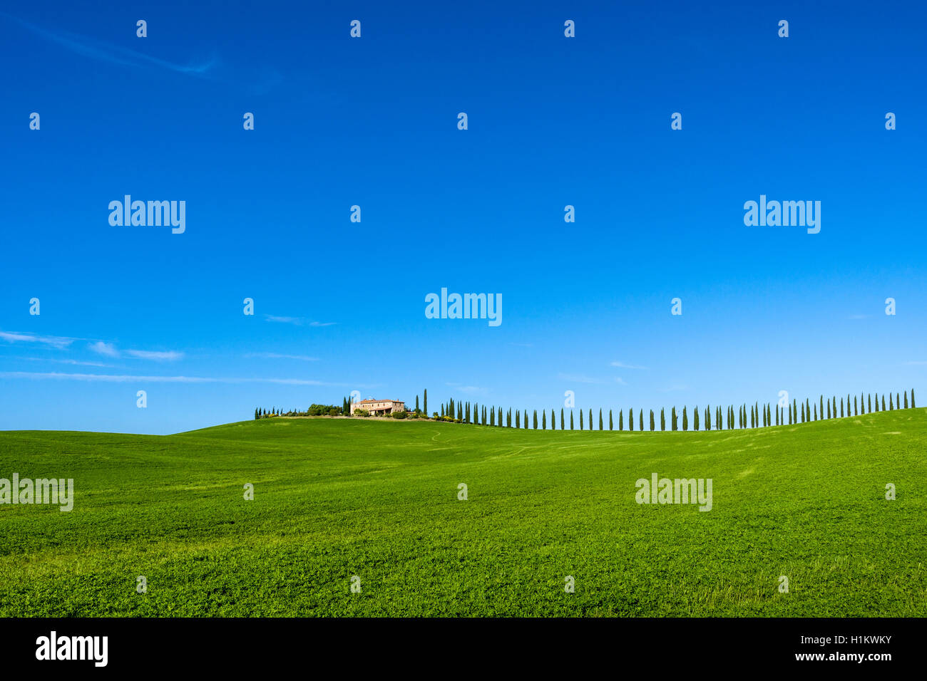 Typical green Tuscan landscape in Bagno Vignoni, Val d’Orcia, farm on hill, fields, cypresses and blue sky Stock Photo