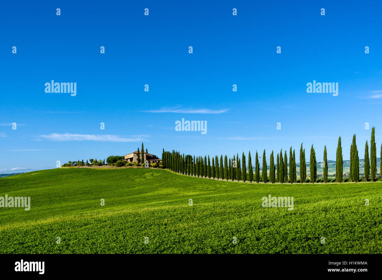 Typical green Tuscan landscape in Bagno Vignoni, Val d’Orcia, farm on hill, fields, cypresses and blue sky Stock Photo