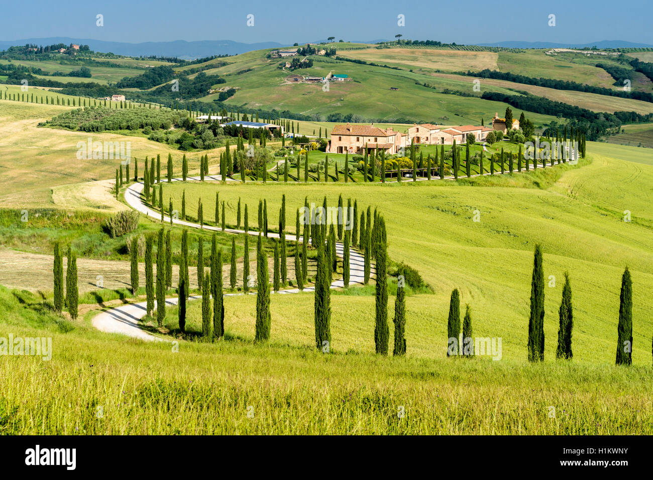 Typical green Tuscan landscape in Val d’Orcia, farm on hill, winding road, fields, cypresses and blue sky, Trequanda, Tuscany Stock Photo