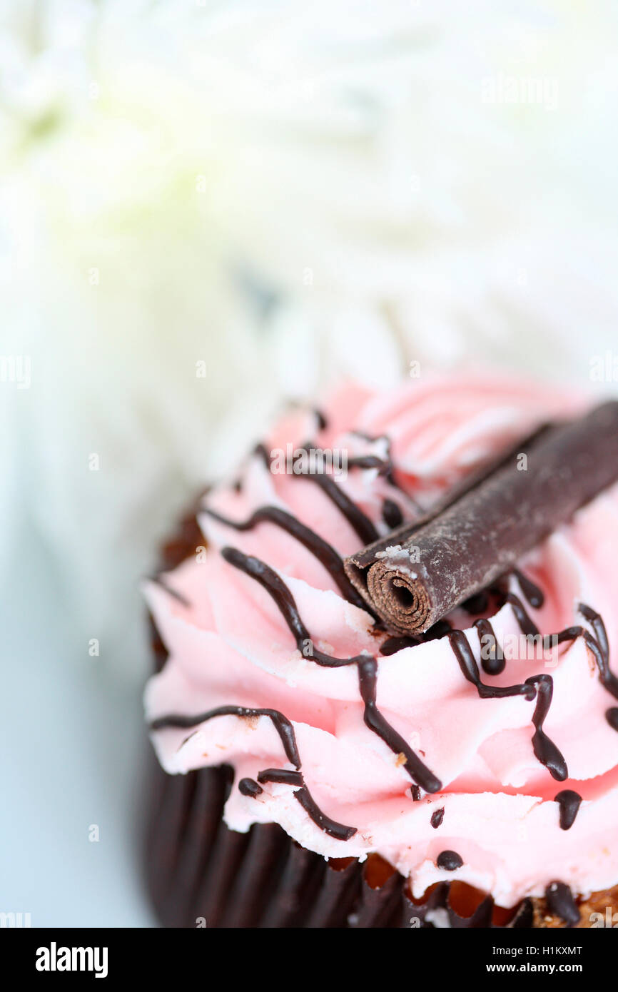 delicious cup cake with pink frosting Jane Ann Butler Photography JABPF037 Stock Photo