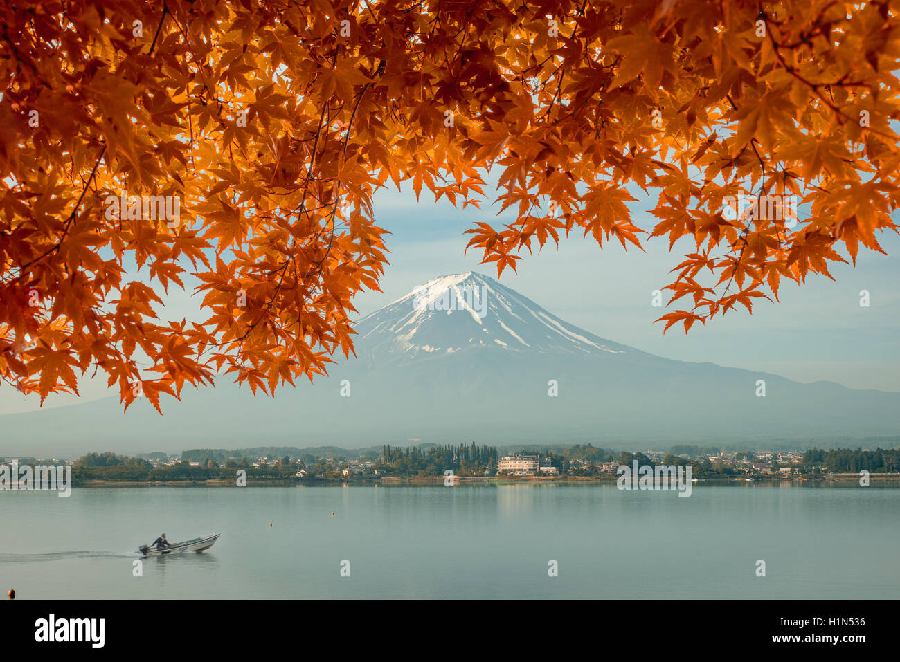 Autumn season and mountain Fuji in morning with red leaves maple at lake Kawaguchi, Japan. Autumn season in Japan. Stock Photo