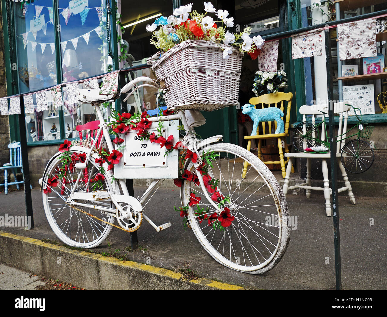 The bicycle features in an attractive display at Pots and Paws. An interesting store at Rothbury
