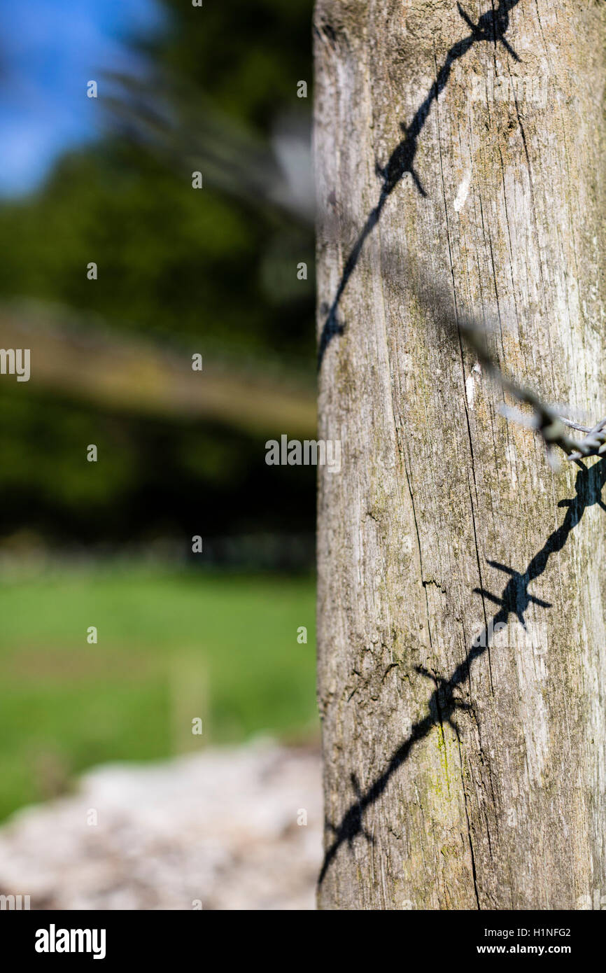 Shadow of barbed wire cast on a weathered wodden fence post on the edge of a farmer's field. Stock Photo