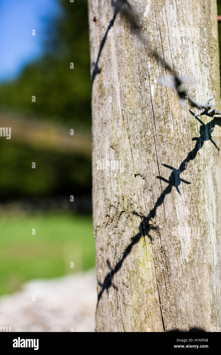 Shadow of barbed wire cast on a weathered wodden fence post on the edge of a farmer's field. Stock Photo