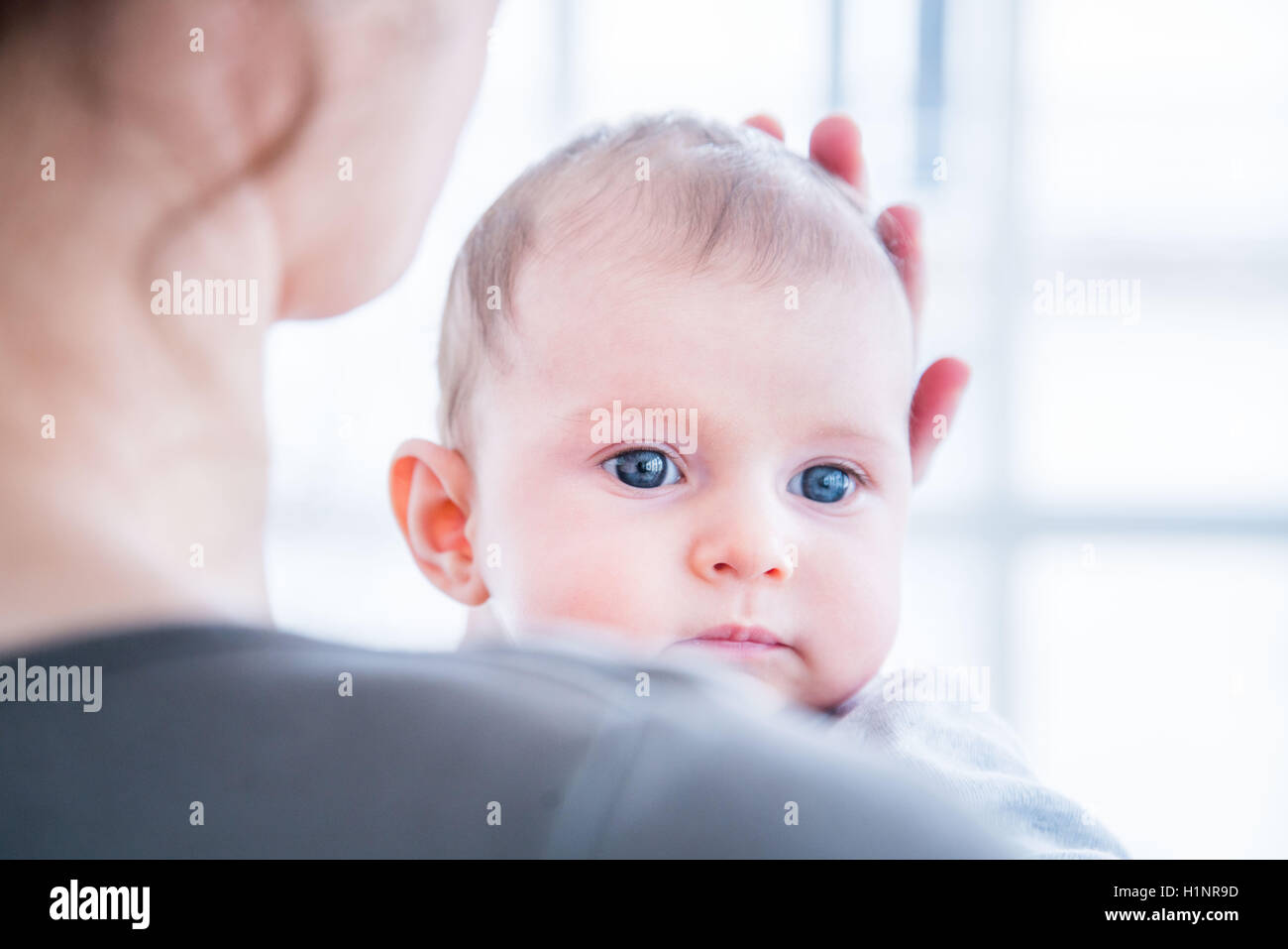 3 Month Old Baby Girl Stock Photo Alamy 3-month-old-baby-girl-stock-photo-alamy