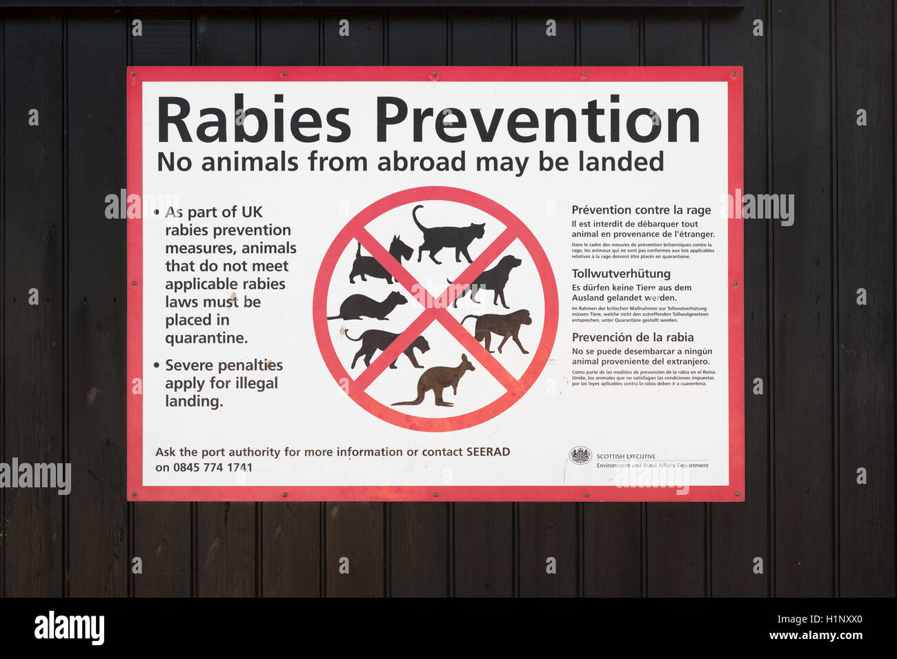 Rabies Prevention notice, Arbroath Harbour, Scotland Stock Photo