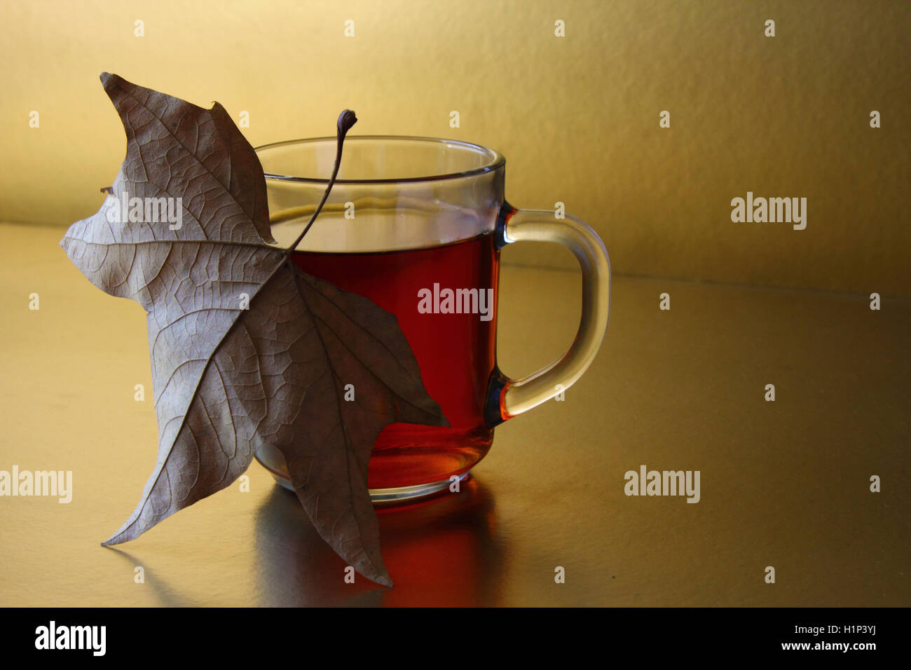 Autumn mood Stock Photo