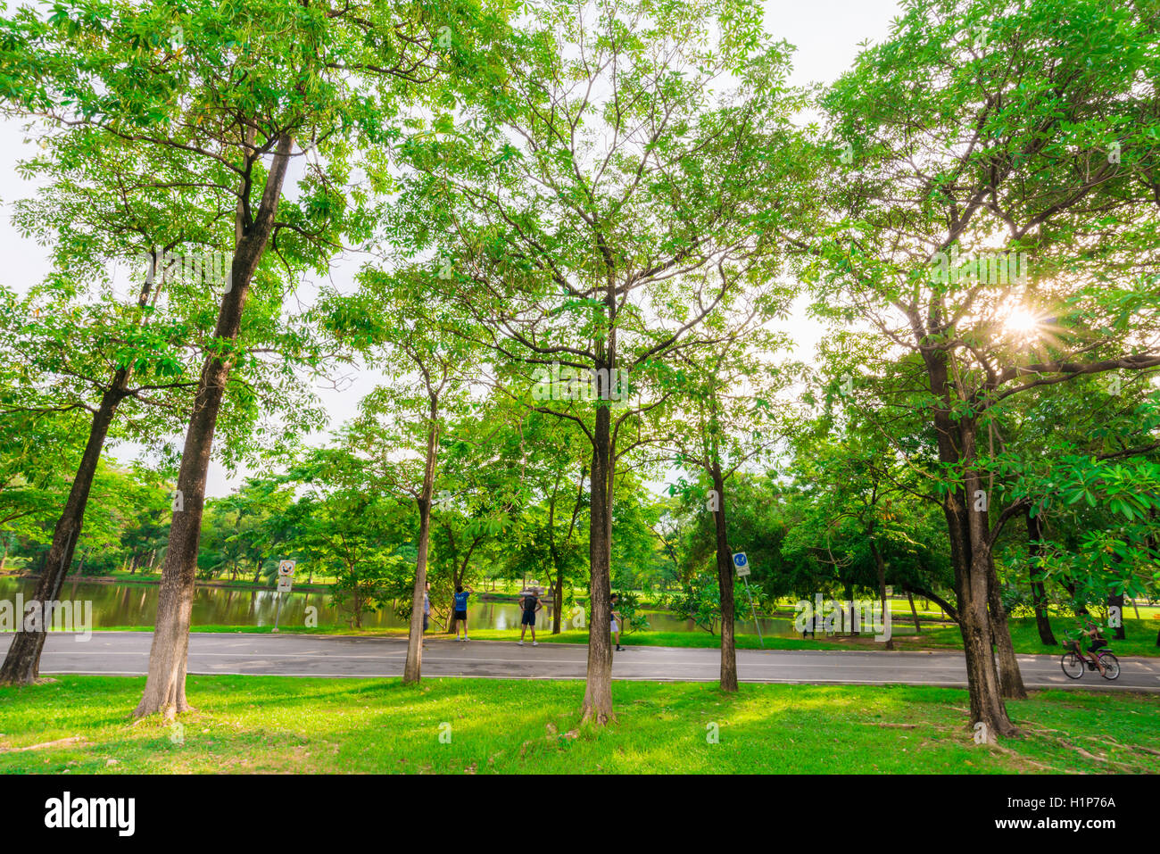 Green lawn in city park and pathway, Beautiful park Stock Photo - Alamy